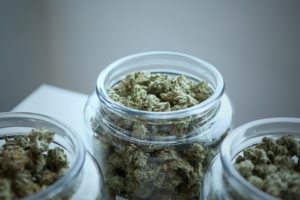 Treating Epilepsy with Cannabis