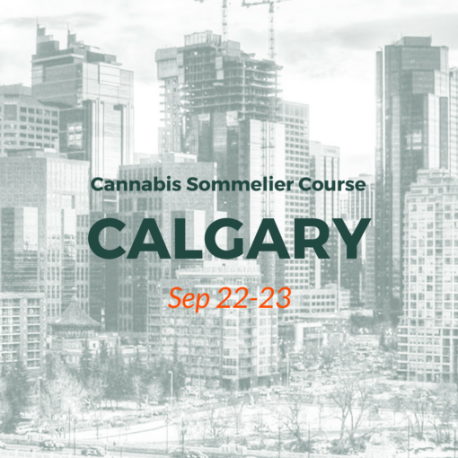 Calgary Cannabis Sommelier course by CannaReps