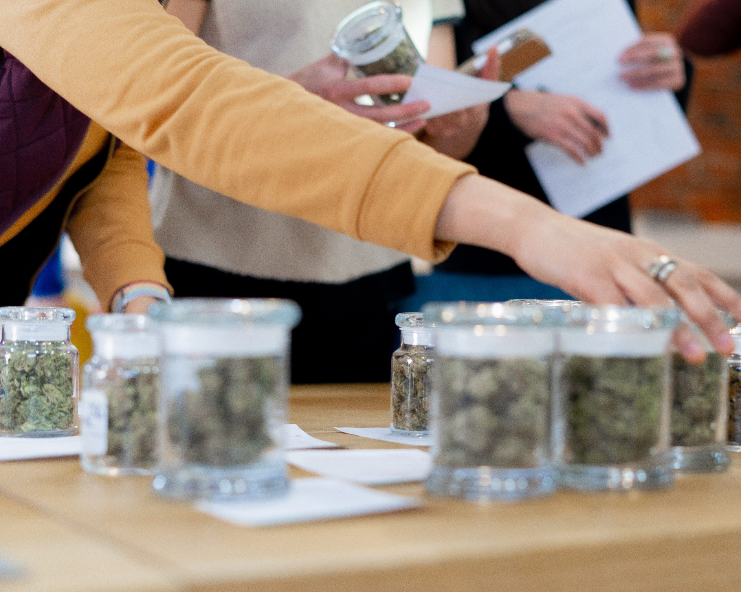 Cannabis Sommelier Level 2 Course Resources CannaReps