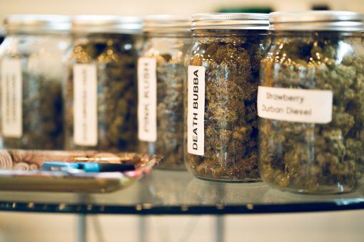 A rolling tray on a glass table with Cannabis in glass jars in the background