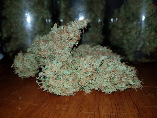 A few buds of original Exodus Cheese with jars in the background.