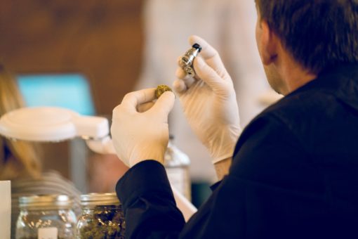 Cannabis Certification Programs In Canada